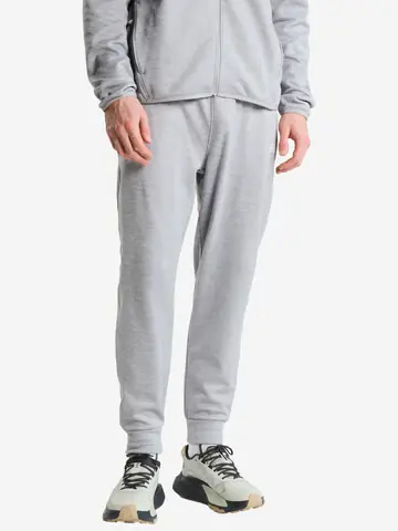 Брюки флисовые мужские The North Face Performance, Серый