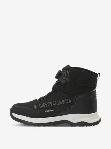 Ботинки утепленные для мальчиков Northland Moose High Boa, Черный