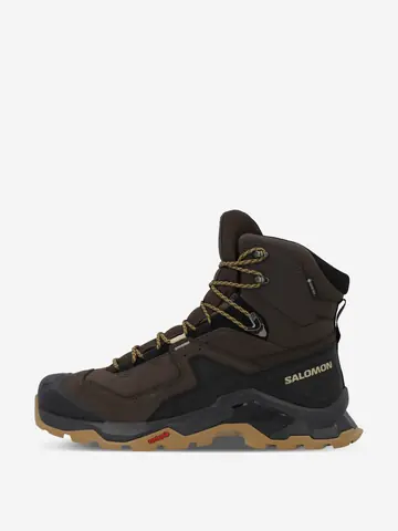 Ботинки мужские Salomon Quest Element GTX, Коричневый